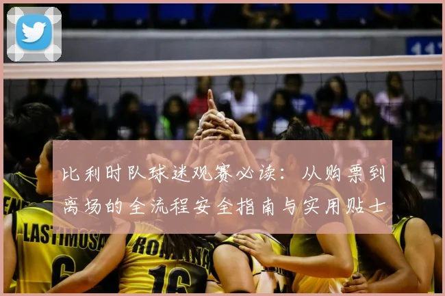比利时队球迷观赛必读：从购票到离场的全流程安全指南与实用贴士